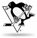 3D Auto Chrome Emblem NHL Pittsburgh Penguins