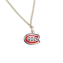 Anhänger JF Sports Canada
