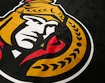 Badetuch NHL Ottawa Senators Black