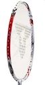 Badmintonschläger Talbot Torro Isoforce 411 ´13