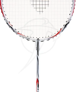 Badmintonschläger Talbot Torro Isoforce 411 ´13