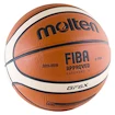 Basketball Molten BGF6X