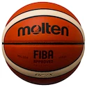 Basketball Molten BGF7X