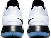 Basketballschuh Nike KD TREY 5 IV
