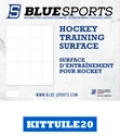 Blue Sports Hockey Training Surface 20x White
