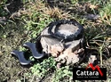 Cattara Handkettensäge 100cm