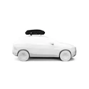 Dachbox Thule Force 3 S