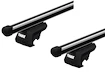Dachträger Thule mit ProBar Mini Countryman (F60) 5-T SUV Dachreling 17-24