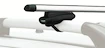 Dachträger Thule mit SlideBar Toyota RAV 4 5-T SUV Dachreling 05-12