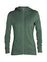 Damen Hoodie Icebreaker  Quantum III LS Zip Hood Sage