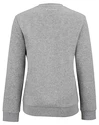Damen Hoodie Tecnifibre  Club Sweater Silver
