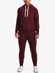 Damen Hoodie Under Armour