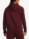 Damen Hoodie Under Armour