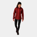Damen Jacke  Salewa  Puez aqua powertex hardshell Syrah