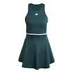 Damen Kleid adidas  Tennis Climacool Y-Dress Aurora Ivy L