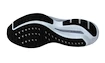 Damen Laufschuhe Mizuno  Wave Inspire 19 Black/Silverstar/Snowcrest