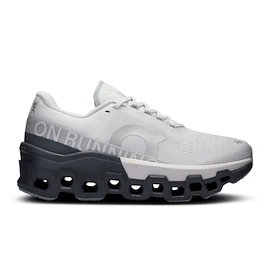 Damen Laufschuhe On Cloudmonster 2 Frost/Rock