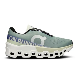 Damen Laufschuhe On Cloudmonster 2 Mineral/Aloe