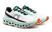 Damen Laufschuhe On Cloudmonster Cloudmonster Undyed-White/Creek