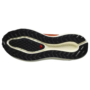 Damen Laufschuhe Salomon Aero Blaze 3 GRVL Burnt Ochre/Vanilla Ice/Vanilla Ice