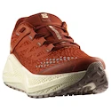 Damen Laufschuhe Salomon Aero Glide 3 GRVL Burnt Ochre/Vanilla Ice/Etherea