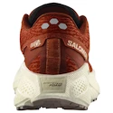 Damen Laufschuhe Salomon Aero Glide 3 GRVL Burnt Ochre/Vanilla Ice/Etherea