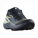 Damen Laufschuhe Salomon Genesis W Carbon/Grisaille/Aloe Wash