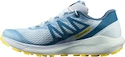 Damen Laufschuhe Salomon Sense Ride W Arctic Ice