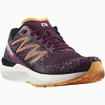 Damen Laufschuhe Salomon  Sonic 5 Balance Grape Wine/Black