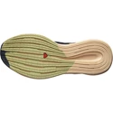 Damen Laufschuhe Salomon Spectur Ebony/Almond Cream
