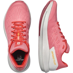 Damen Laufschuhe Salomon Spectur W Tea Rose/Lunar Rock