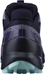 Damen Laufschuhe Salomon Speedcross 5 GTX Nisk