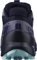 Damen Laufschuhe Salomon Speedcross 5 GTX Nisk