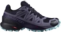 Damen Laufschuhe Salomon Speedcross 5 GTX Nisk