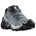 Damen Laufschuhe Salomon Speedcross 6 Gore-Tex Flint Stone/Black/Heather