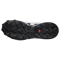 Damen Laufschuhe Salomon Speedcross 6 Gore-Tex Flint Stone/Black/Heather