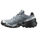 Damen Laufschuhe Salomon Speedcross 6 Gore-Tex Flint Stone/Black/Heather