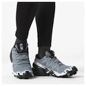 Damen Laufschuhe Salomon Speedcross 6 Gore-Tex Flint Stone/Black/Heather
