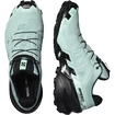 Damen Laufschuhe Salomon Speedcross Speedcross 6 GTX W Aquifer