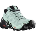 Damen Laufschuhe Salomon Speedcross Speedcross 6 GTX W Aquifer