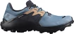 Damen Laufschuhe Salomon  Wildcross 2 GTX Blue Stone