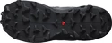 Damen Laufschuhe Salomon  Wildcross 2 GTX Blue Stone