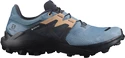 Damen Laufschuhe Salomon  Wildcross 2 GTX Blue Stone