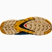 Damen Laufschuhe Salomon XA Pro 3D V8 GTX Light Blue