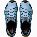 Damen Laufschuhe Salomon XA Pro 3D V8 GTX Light Blue