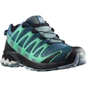 Damen Laufschuhe Salomon  XA PRO 3D v8 GTX W Legion Blue