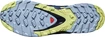 Damen Laufschuhe Salomon XA Pro 3D V8 GTX W Plum Caspia