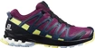 Damen Laufschuhe Salomon XA Pro 3D V8 GTX W Plum Caspia