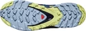 Damen Laufschuhe Salomon XA Pro 3D V8 GTX W Plum Caspia