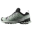 Damen Laufschuhe Salomon Xa Pro 3D V9 Gore-Tex Quiet Shade/Lily Pad/Blue Haze